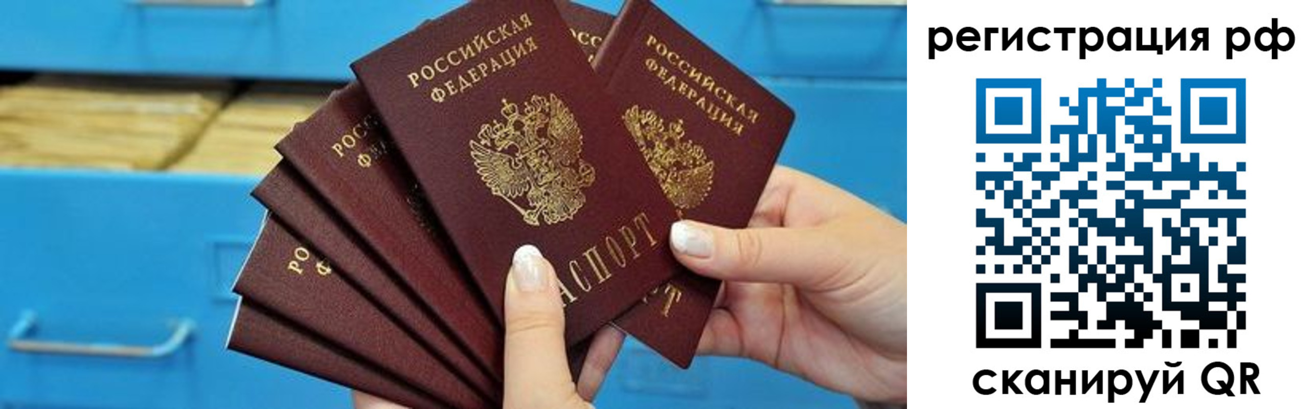 найти адрес прописки в Полярных Зорях